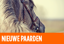planifier horse image