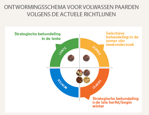 schema plan chart